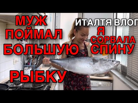 Видео: ИТАЛИЯ ВЛОГ, МУЖ ИТАЛЬЯНЕЦ РЫБАК, КРУПНЫЙ УЛОВ В АДРИАТИКЕ, СОРВАЛА СПИНУ