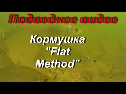 Видео: Кормушка флэт метод ("Flat Method")подводное  видео.The method feeder flat ("the Flat Method")