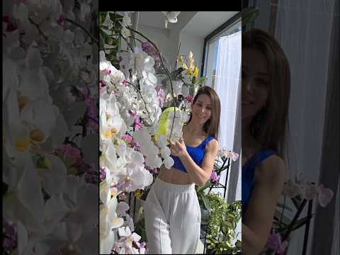 Видео: Всем хорошего настроения 🫶✨️#flowers #цветущиеорхидеи #orchid #phalaenopsis