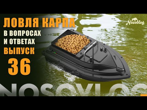 Видео: Карпфишинг в вопросах и ответах, Колесников А., выпуск 36