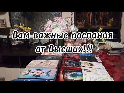 Видео: Вам послания от Высших Сил ‼️💯🔥💞💰🛞