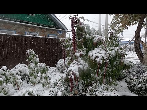Видео: Костанай утро 29 сентября 2025 г выпал первый снег