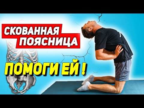 Видео: 12 лучших упражнений от СКОВАННОСТИ в ПОЯСНИЧНОМ ОТДЕЛЕ.