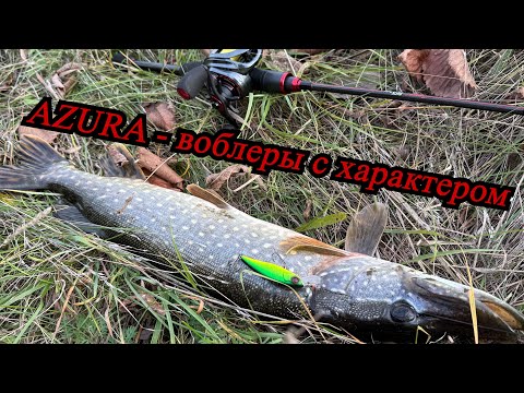 Видео: Щука на бюджетные кренки и воблеры AZURA: тест и обзор!