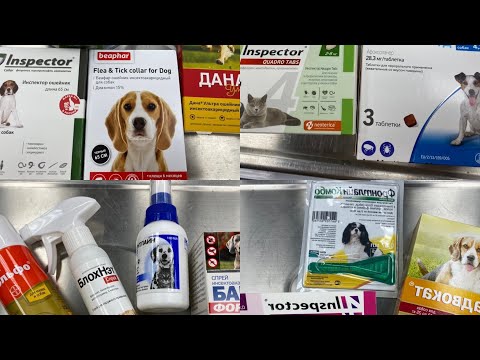 Видео: Чем обработать собаку/кошку от блох и клещей? Ошейники/Спреи/Таблетки/Капли. Что лучше?