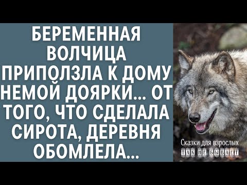Видео: Беременная волчица приползла к дому немой доярки… От того, что сделала сирота, деревня обомлела…