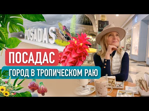 Видео: Где жить в Аргентине? Посадас -- город в тропическом раю!