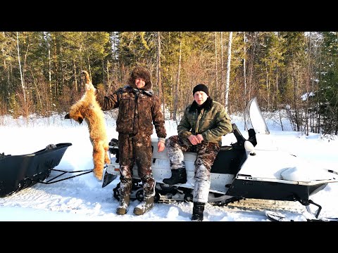 Видео: СИБИРЬ. ЗАКРЫТИЕ ПРОМЫСЛОВОГО  СЕЗОНА. УСТАНАВЛИВАЕМ НОВУЮ ПЕЧЬ В ИЗБЕ.