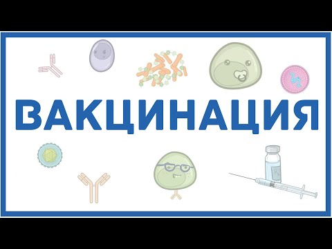 Видео: Вакцинация - механизм действия, типы вакцин, адъюванты, противопоказания