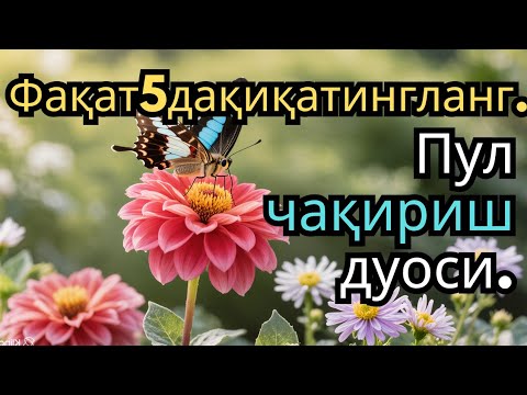 Видео: 🔴ИншоАллоҳ! Эндигина қўйганимда, Пул ростдан ҳам ўзи хонага келди ✅ Тез бойиш дуоси| Po