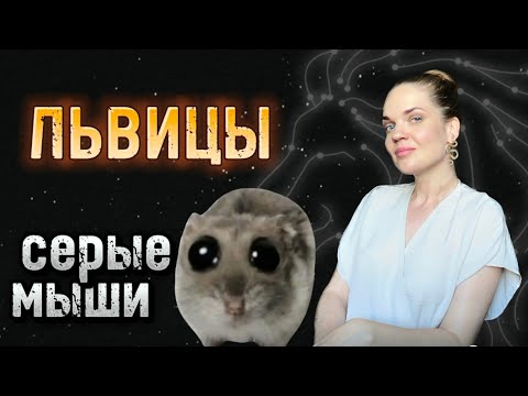 Видео: ДВА ГЛАВНЫХ Типа Женщин ЛЬВОВ По Знаку Зодиака/ СЕРАЯ МЫШЬ или КОРОЛЕВА