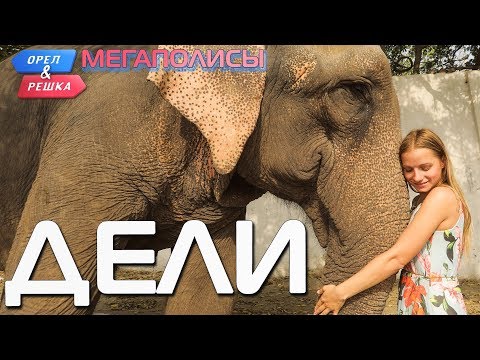 Видео: Дели. Орёл и Решка. Мегаполисы (eng, rus subs)