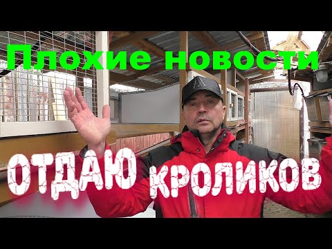 Видео: БЕГОМ ЗА КРОЛИКАМИ Кролики содержание и разведение