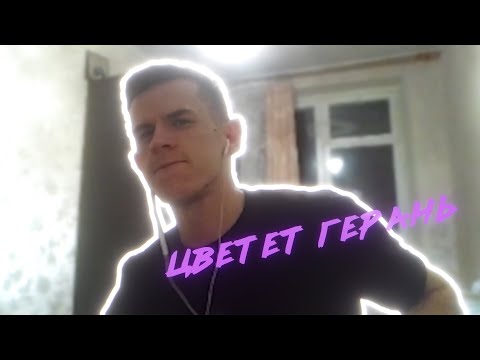 Видео: ЦВЕТЕТ ГЕРАНЬ 🔥 / ДмитрийZ приседает 1 час под песню "Цветет герань".