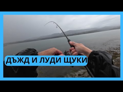 Видео: ДЪЖД И ЛУДИ ЩУКИ