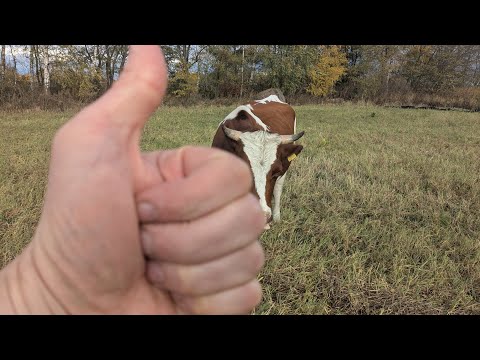 Видео: Про деревню.