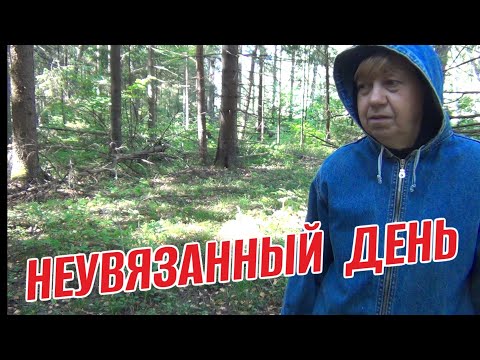 Видео: НЕУВЯЗАННЫЙ ДЕНЬ