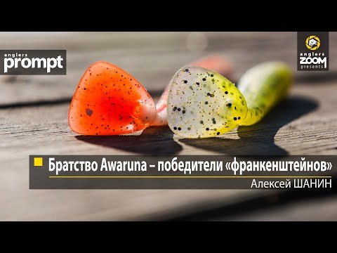 Видео: Братство Awaruna – победители «франкенштейнов». Алексей Шанин. Anglers Prompt