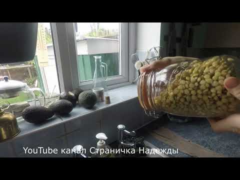 Видео: Как прорастить чечевицу