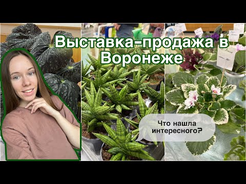 Видео: Выставка комнатных растений в Воронеже. Было ли на что посмотреть?