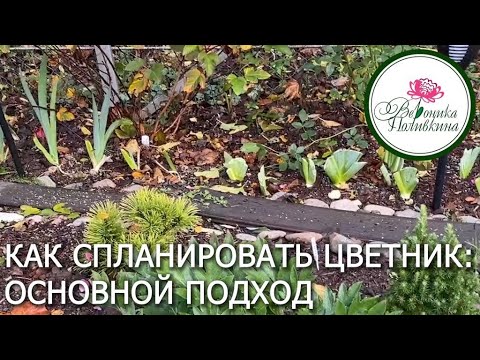 Видео: Хотите сэкономить на ландшафтном дизайнере: узнайте как создать цветник самостоятельно