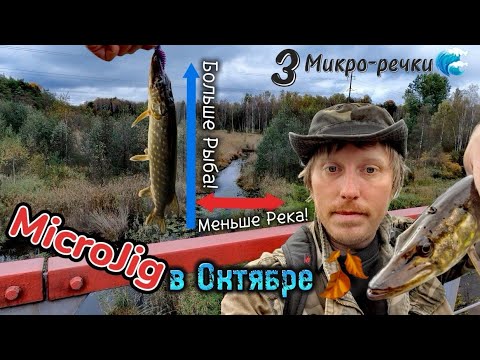 Видео: MicroJig в Октябре🍂 | Меньше Река, Больше Рыбы | 3 Микро-речки🌊