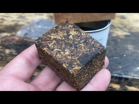 Видео: Корнелл и Диль, кривоногий медведь