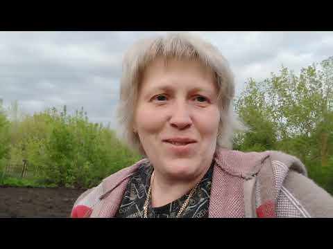 Видео: Плоскорез Фокина или пропольник "Стриж"