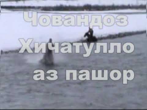 Видео: Буз дар ноҳияи Тавилдара КИСМИ 1
