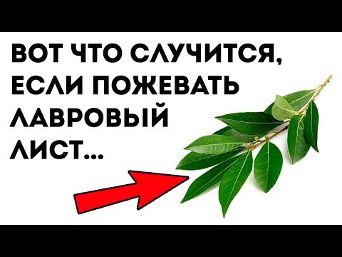 Видео: ВЕЛИКАЯ СИЛА ЛАВРОВОГО ЛИСТА. 9 уникальных применений для здоровья!