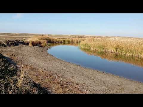 Видео: Первый выезд на щуку