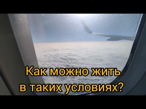 Видео: 119. Мы живём в экстремальных условиях? Хотели обмануть в кафе в аэропорту. Джайпур - Гоа!