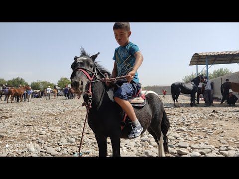 Видео: 2-УДАР АТ БАЗАР ЖАЛАЛ-АБАД 11 - сентябрь