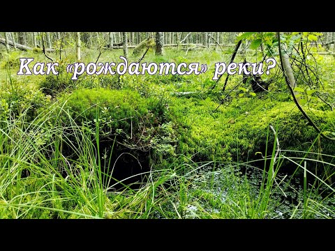 Видео: Как "рождаются" реки? Исток малой реки [Географическое краеведение]