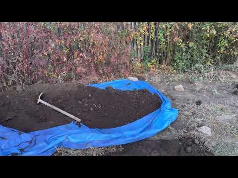 Видео: КОГДА ПОЧУВСТВУЕШЬ СЕБЯ ОДИНОКИМ, ВСПОМНИ, ЧТО ВНУТРИ ТЕБЯ ЖИВет конь ,