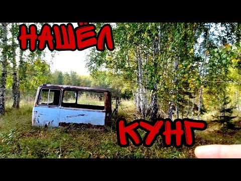 Видео: ПО СТАРЫМ СОВЕТСКИМ ПОЛЯМ!!! Заблудился , на металлокопе.