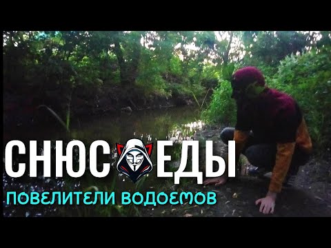 Видео: СНЮСОЕДЫ: ПОВЕЛИТЕЛИ ВОДОЕМОВ (2025) | Документальный фильм о Снюсоедах 