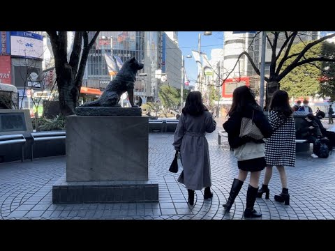 Видео: Японская мода на чистых токийских улицах. Бедный Хатико, Streetstyle и почему так чисто в Токио.