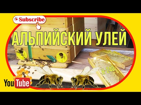 Видео: Альпийский улей. Корпус на Н-240. Рамки