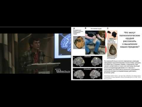 Видео: Александр Марков - Обзор достижений эволюционной психологии
