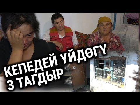 Видео: Кепедей үйдөгү 3 тагдыр.  "Үйдүн ижара акысын төлөгөнүбүзгө сүйүнөбүз"