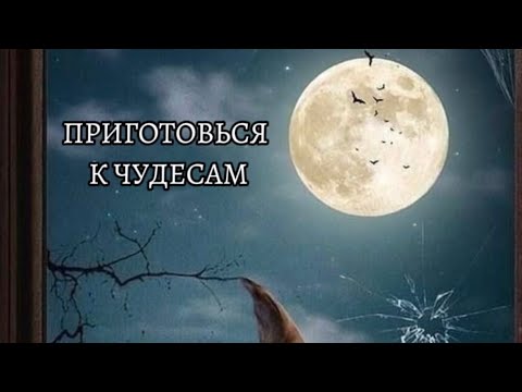 Видео: ПОЛНОЛУНИЕ 🌕 5 Ноября 🍁🕯️ в Тельце ♉️ Магическое гадание на ШАРЕ 🔮