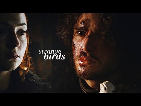 Видео: Jon & Sansa | Странные птицы