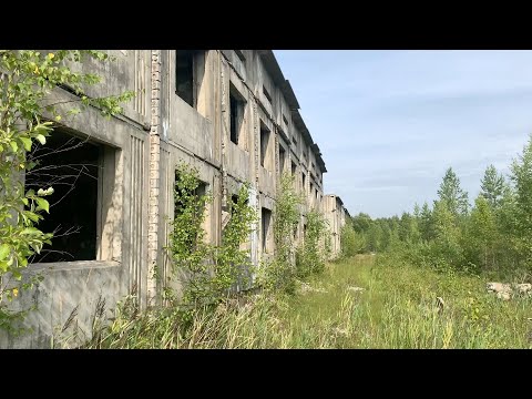 Видео: Заброшенные казармы недалеко от города Каргополь-2, Архангельская область