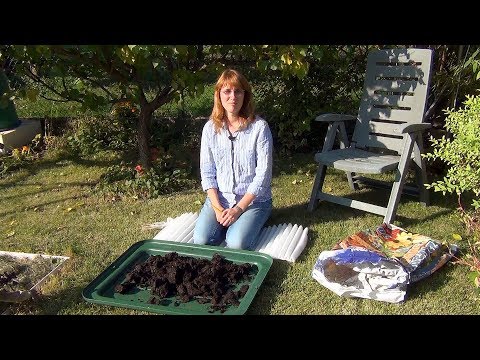 Видео: Листовой компост в пакете. Результат эксперимента.