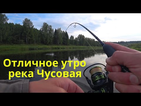 Видео: ОТЛИЧНОЕ УТРО НА КРАСИВОЙ РЕКЕ ЧУСОВАЯ! Рыбалка на спиннинг! Рыбалка для души!