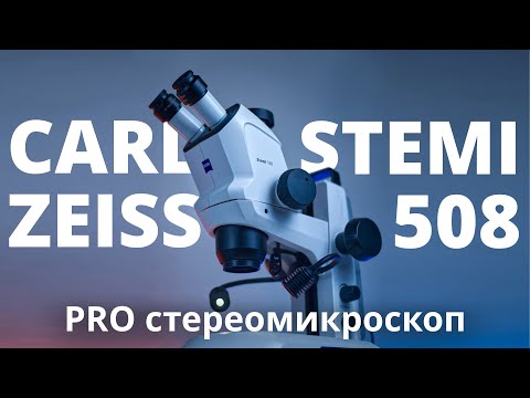 Видео: Стереомикроскоп Carl Zeiss Stemi 508. Обзор