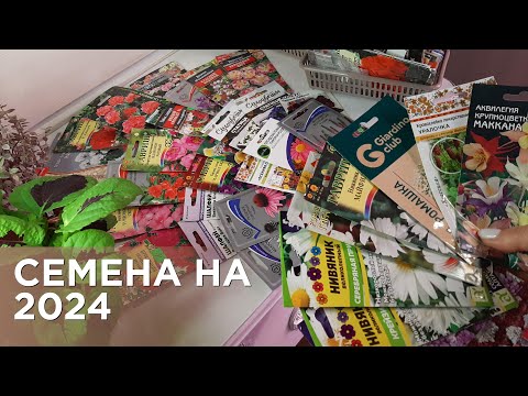 Видео: Планы цветочных посевов на 2024!