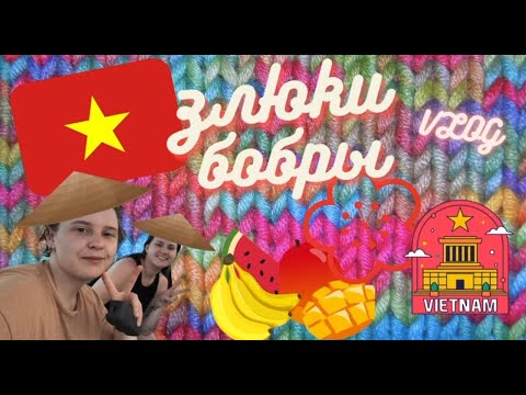 Видео: Vietnam Vlog | Злюка бобр 🦫 во Вьетнаме | Part 2