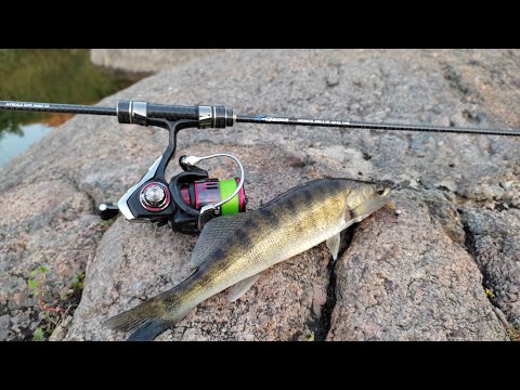 Видео: Ультралайт на быстрой реке рыбалка на микроджиг